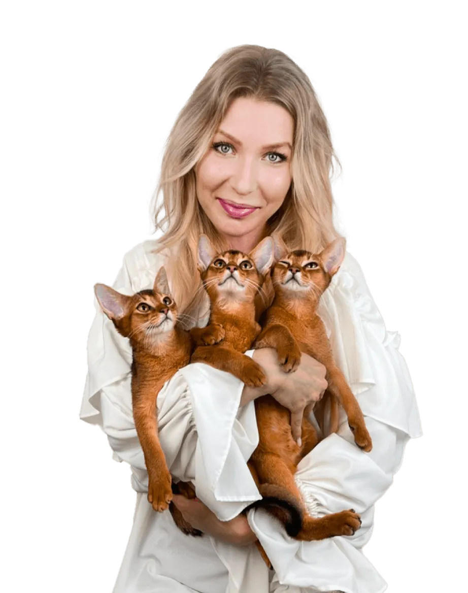 Питомник абиссинских кошек Звездный Пантеон